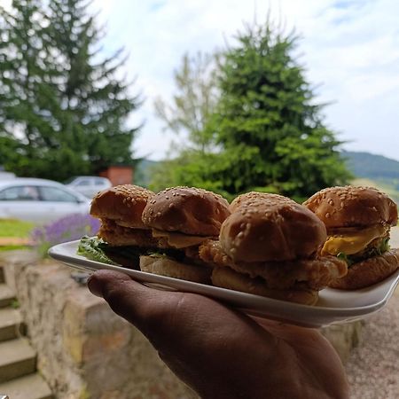 Apartmán Sowi Gosciniec Wellness & Breakfast Sokolec Exteriér fotografie