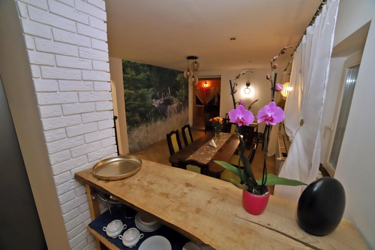 Apartmán Sowi Gosciniec Wellness & Breakfast Sokolec Exteriér fotografie